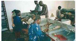 Hilfe für Guinea-Bissau e.V.
