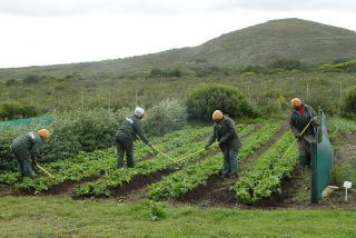 Grootbos Green Futures Foundation