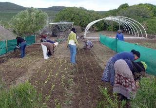 Grootbos Green Futures Foundation