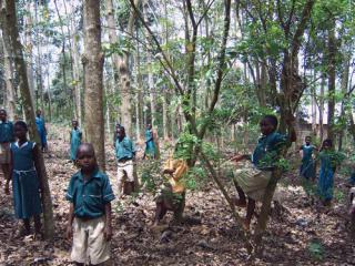 Schulwälder für Westafrika e.V.