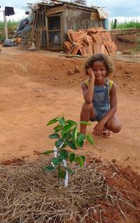 Fruit Tree Planting Foundation FTPF