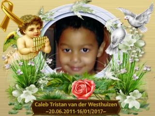 Little Fighters Cancer Trust  